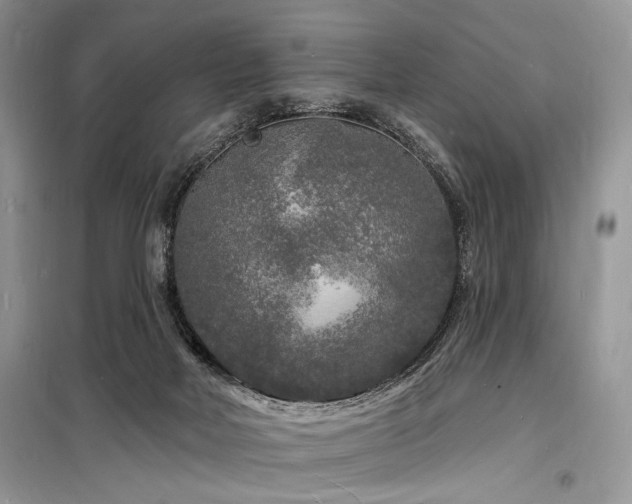 X0000098230026200804241351