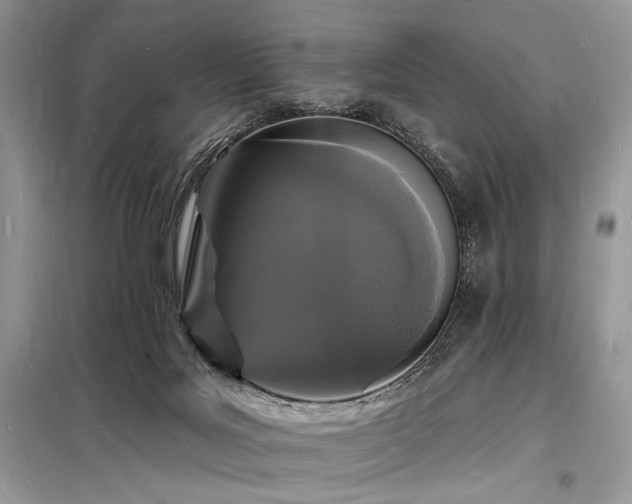 X0000098230027200804241351
