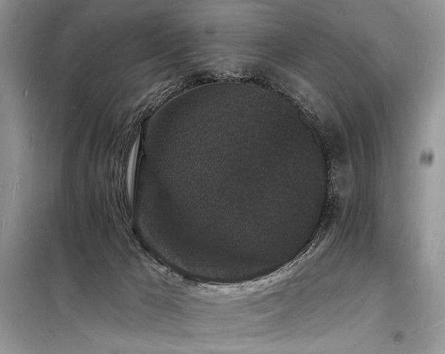 X0000098230029200804241350