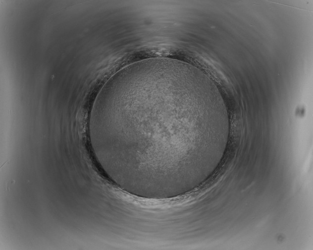 X0000098230030200804241350