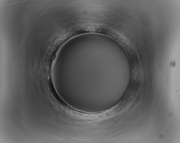 X0000098230031200804241350
