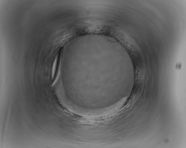 X0000098230033200804241350