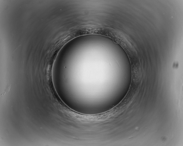 X0000098230034200804241350