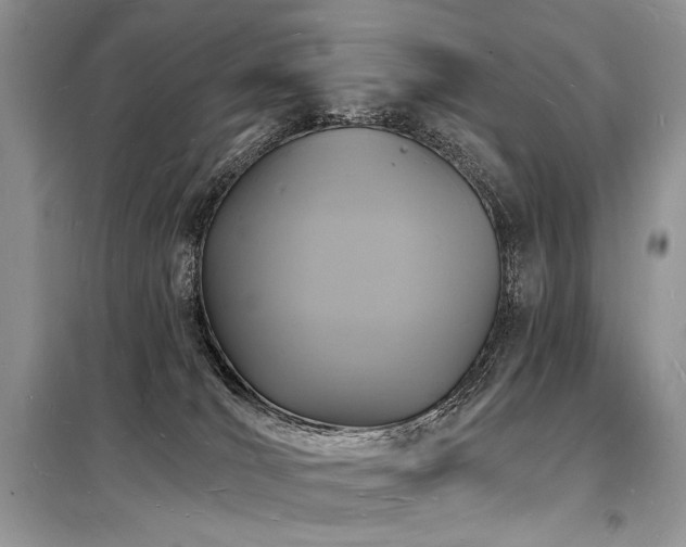 X0000098230036200804241350