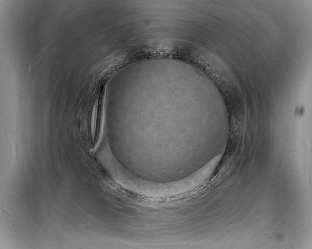 X0000098230037200804241350
