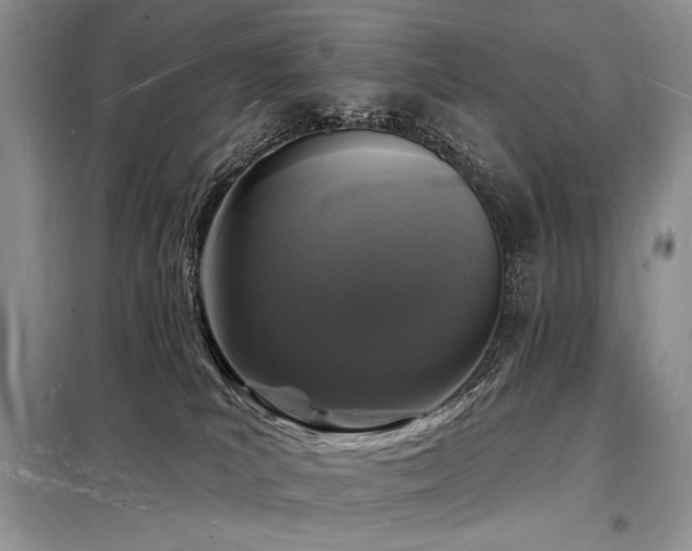 X0000098230039200804241350
