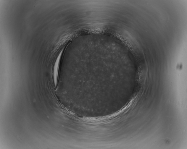 X0000098230041200804241350