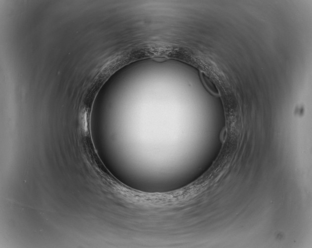X0000098230042200804241350