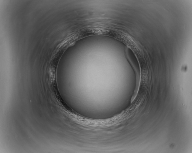 X0000098230043200804241350