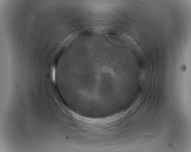 X0000098230046200804241350