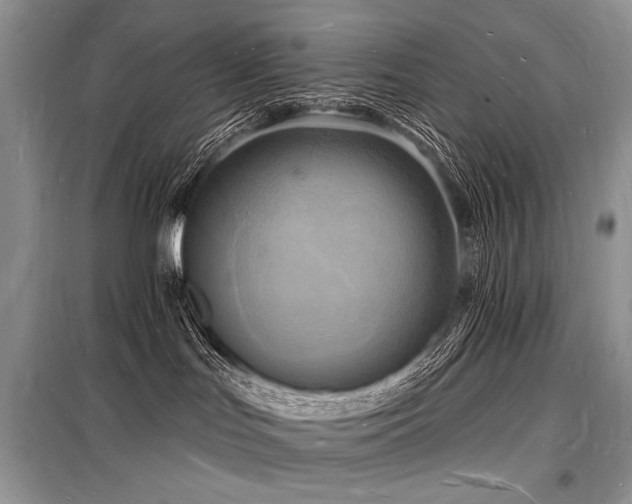 X0000098230047200804241350