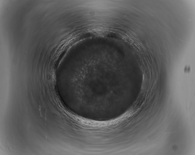 X0000098230048200804241350