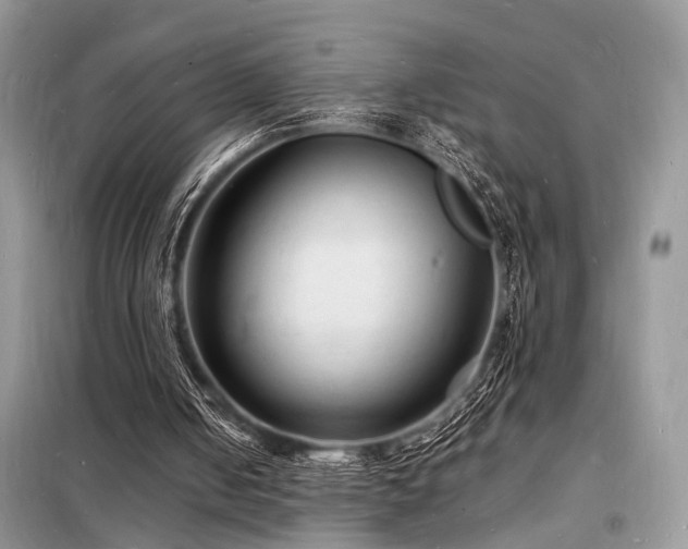 X0000098230050200804241349