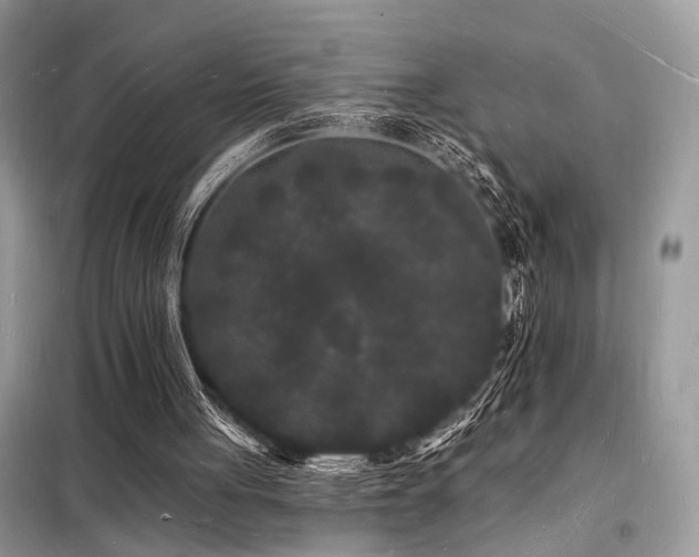 X0000098230051200804241350