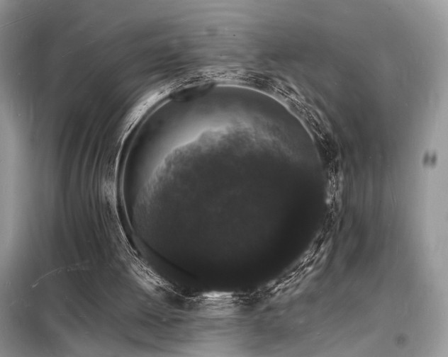 X0000098230052200804241350