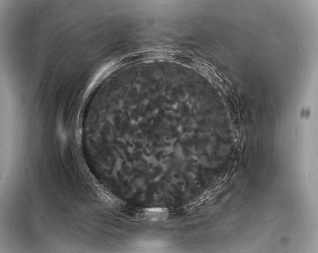 X0000098230053200804241350