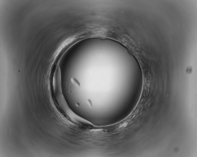 X0000098230054200804241350