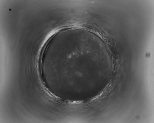 X0000098230056200804241350