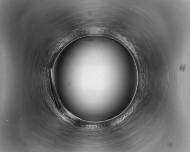 X0000098230057200804241350