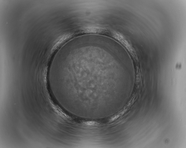 X0000098230058200804241350