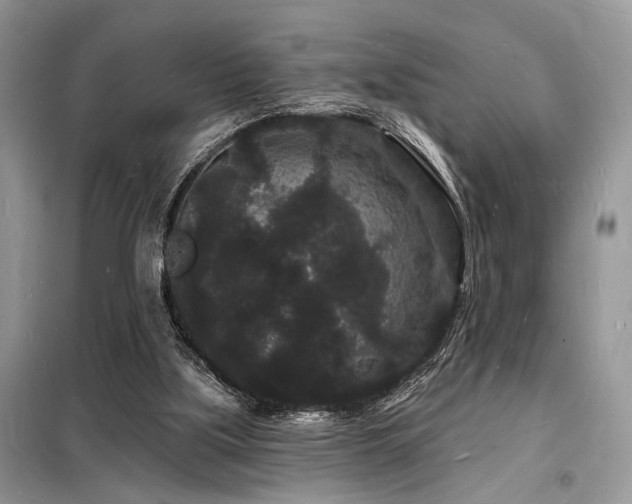 X0000098230059200804241350