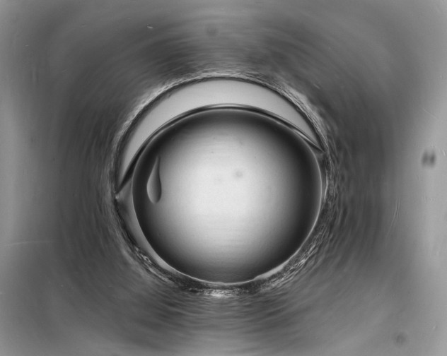 X0000098230060200804241350