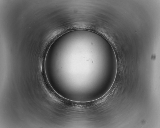 X0000098230062200804241350