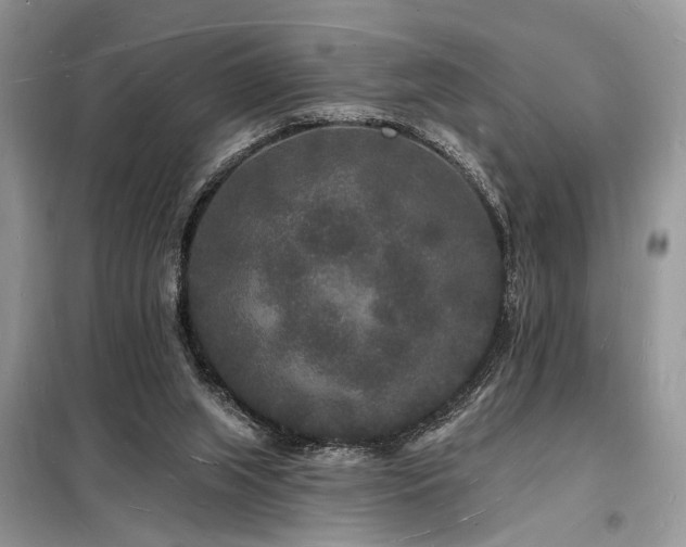 X0000098230063200804241350