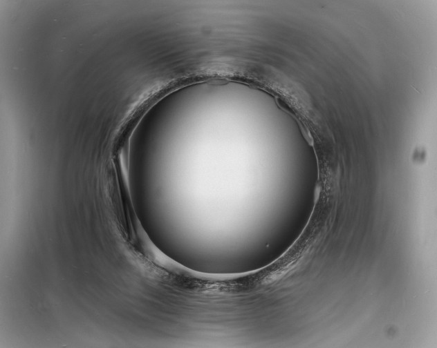 X0000098230064200804241350