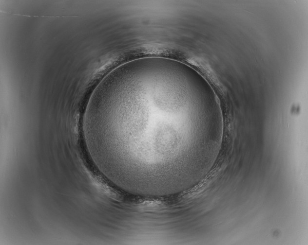 X0000098230066200804241350