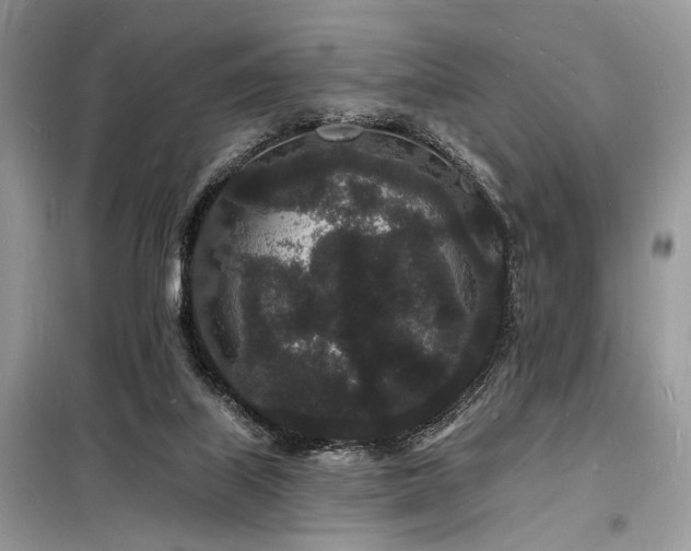 X0000098230067200804241350