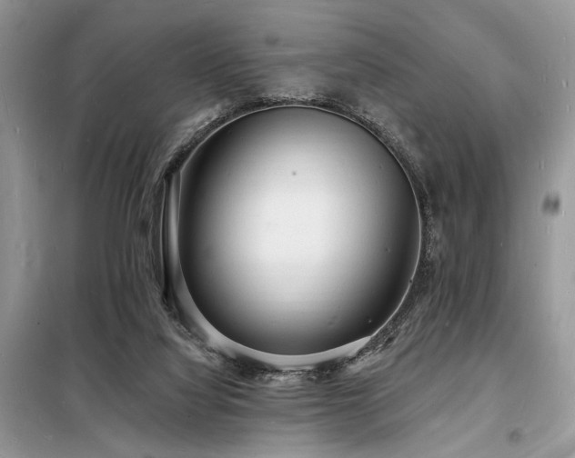 X0000098230068200804241350