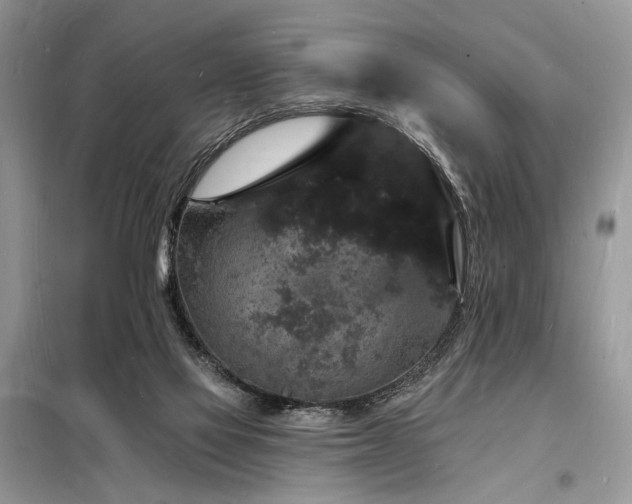 X0000098230069200804241350