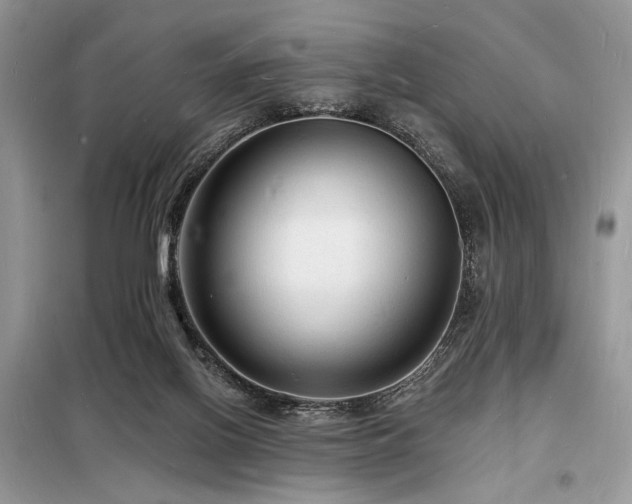 X0000098230070200804241350