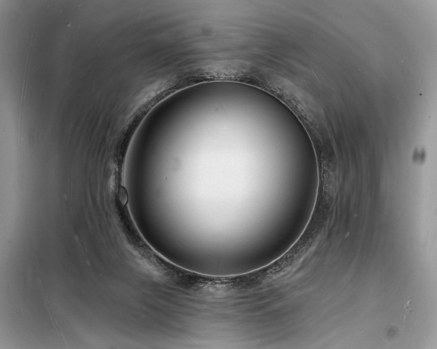 X0000098230071200804241350