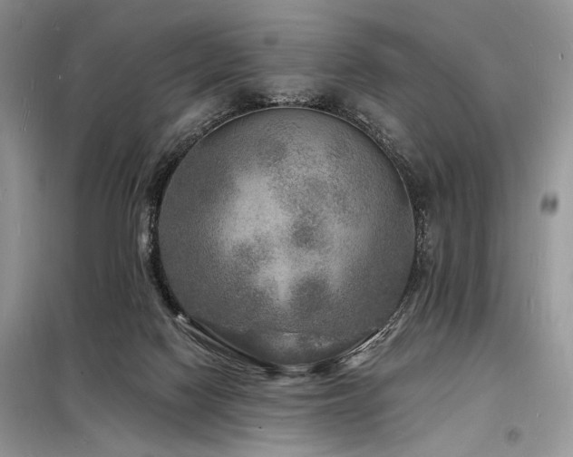 X0000098230074200804241350