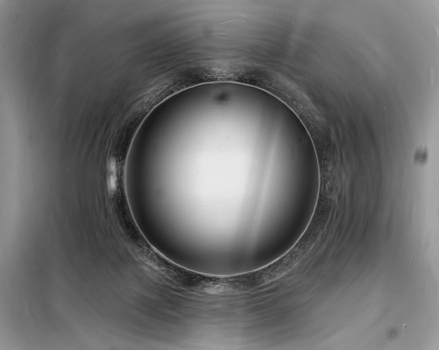 X0000098230075200804241350