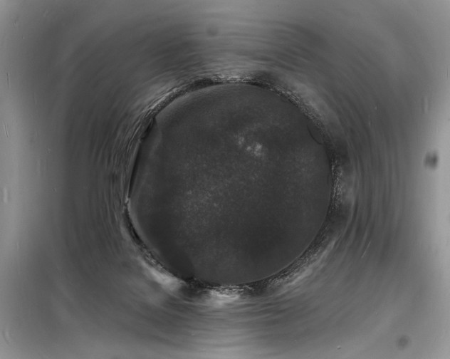 X0000098230076200804241350