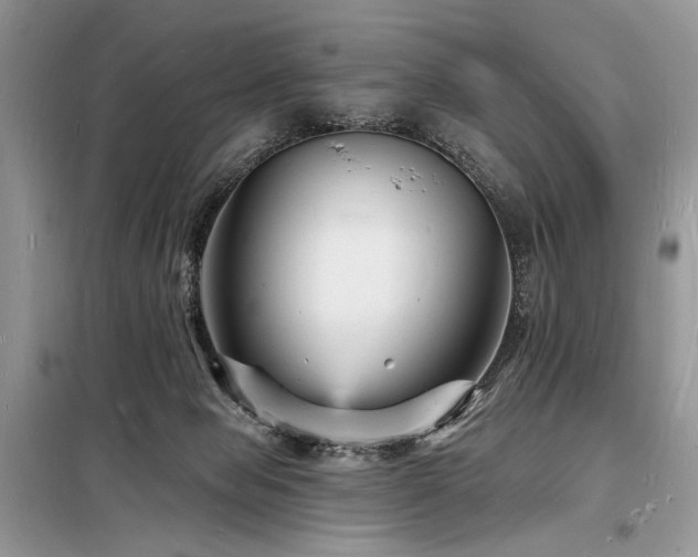 X0000098230077200804241350