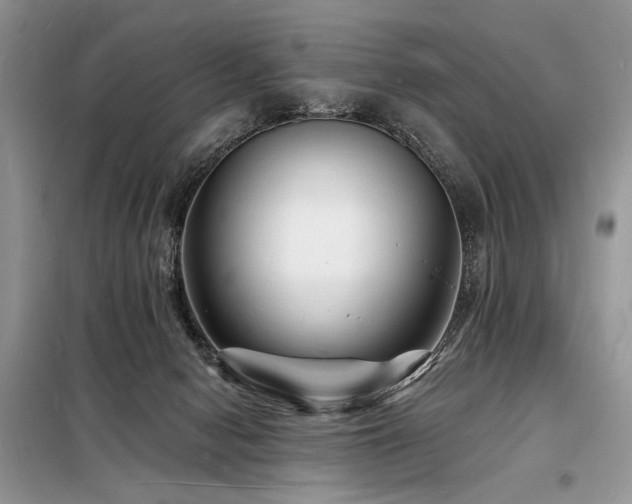 X0000098230078200804241350