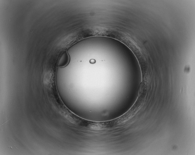 X0000098230079200804241350