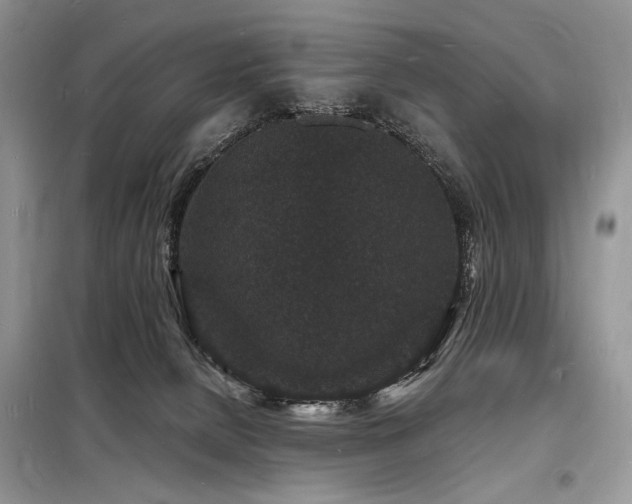 X0000098230080200804241350
