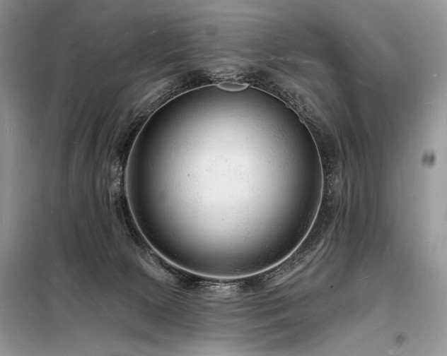 X0000098230081200804241350