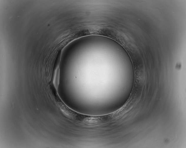 X0000098230082200804241350