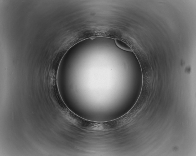 X0000098230083200804241350