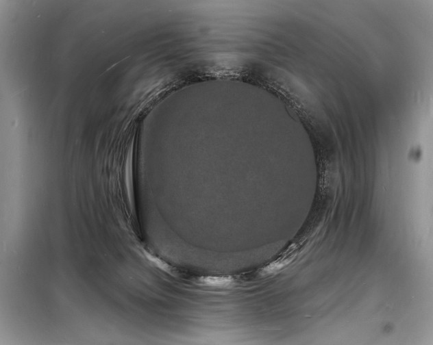 X0000098230084200804241350