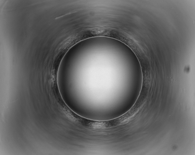 X0000098230085200804241350