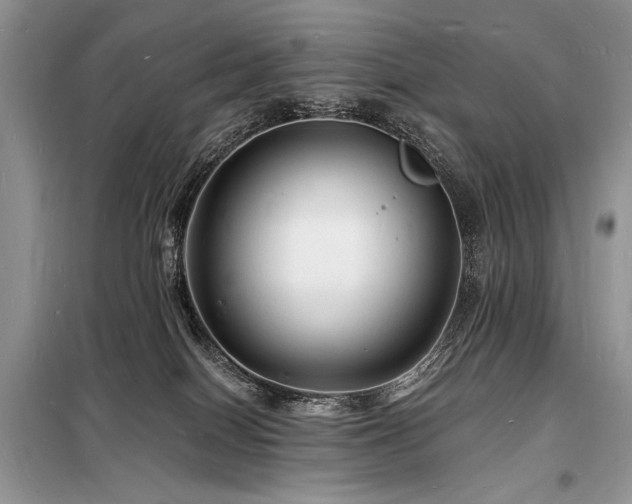 X0000098230086200804241350