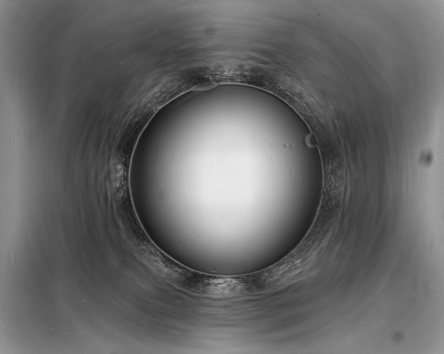 X0000098230087200804241350