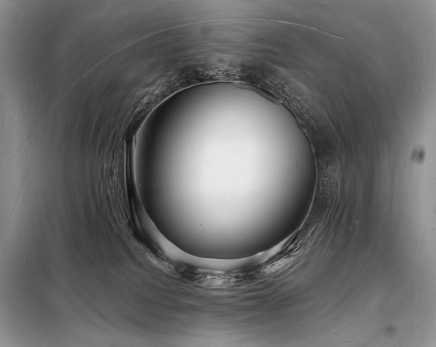 X0000098230088200804241350